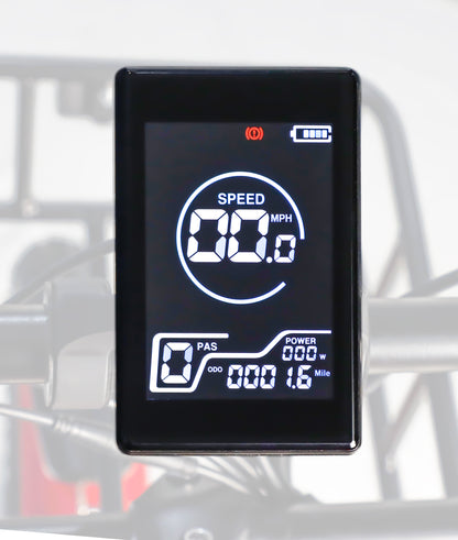 3 Wheel Electric Bicycle​ Display | VICTRIP