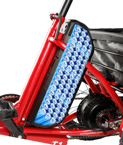 Adults 3 Wheel Electric Bicycle​ | VICTRIP