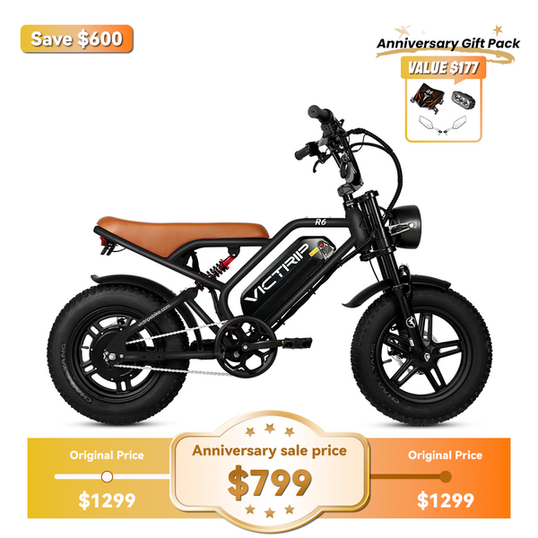 750 Watt Electric Bike for Teens | VICTRIP