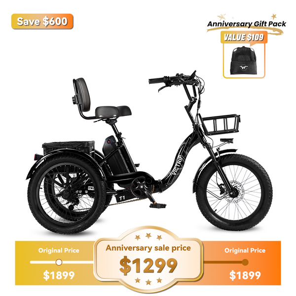 3 Wheel Electric Tricycle | VICTRIP